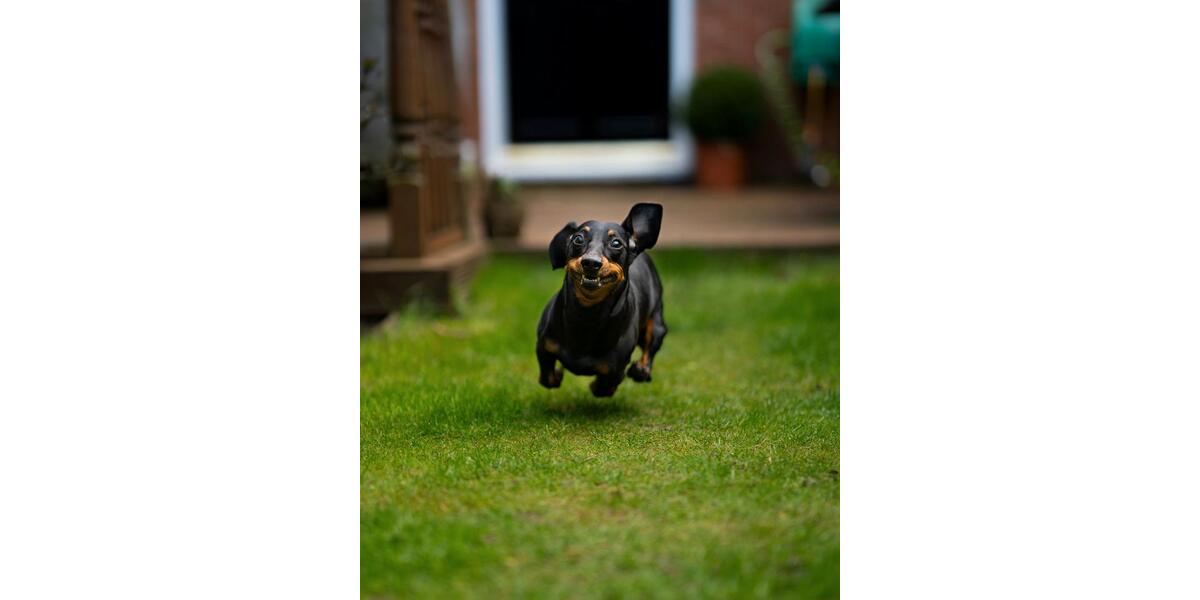 Einfamilienhaus Castrop-Rauxel Bladenhorst - 5 Zimmer, 140 m&sup2;, 1.900&euro; | Angebot:24369592