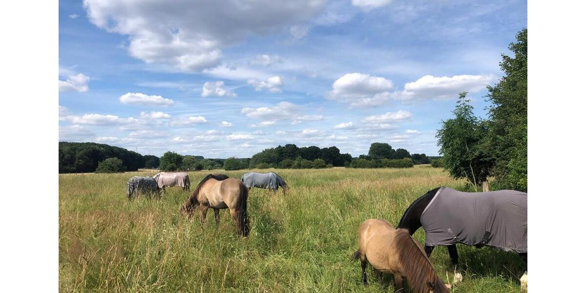 Bauernhaus, Landhaus Iserlohn Sümmern - 1.555.555&euro; | Angebot:24479549