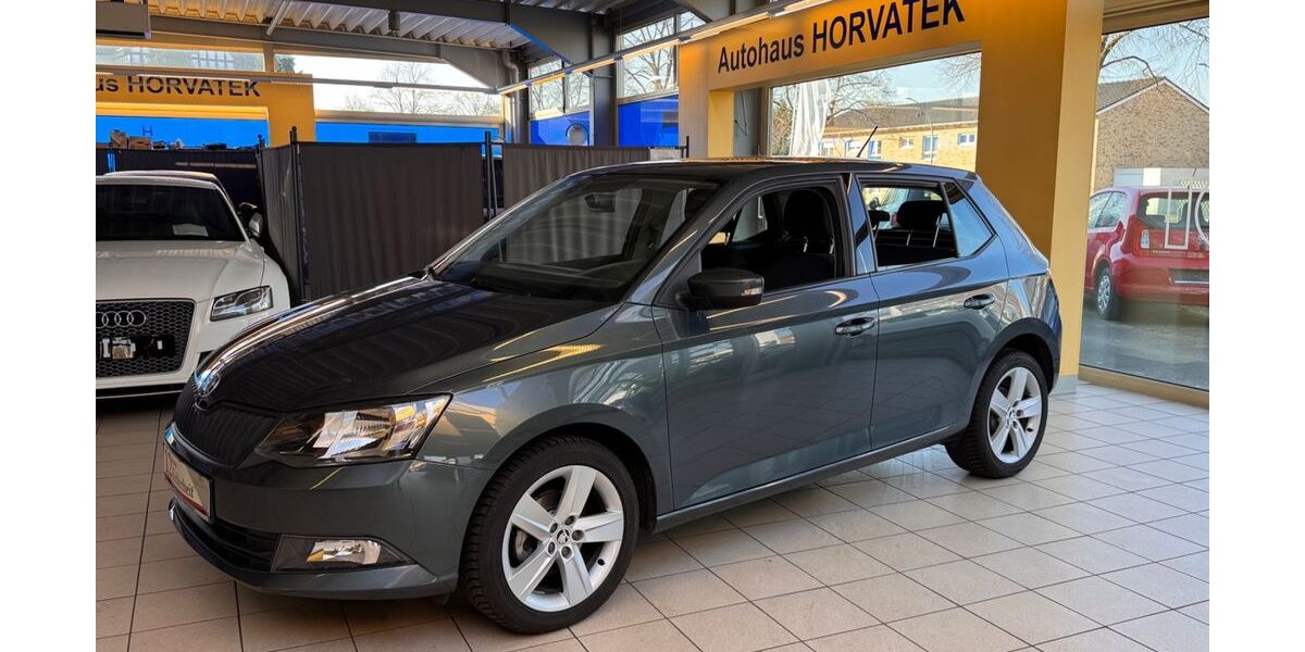Skoda Fabia 53.928 km 8.950 &euro; Waltrop 45731