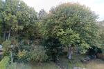 Etagenwohnung Iserlohn - 2 Zimmer, 63 m&sup2;, 630&euro; | Angebot:27621908