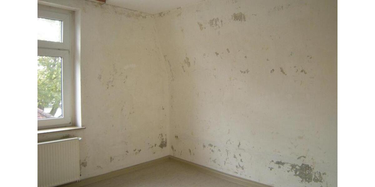 Etagenwohnung Dortmund Bövinghausen - 2 Zimmer, 65 m&sup2;, 492&euro; | Angebot:24751920