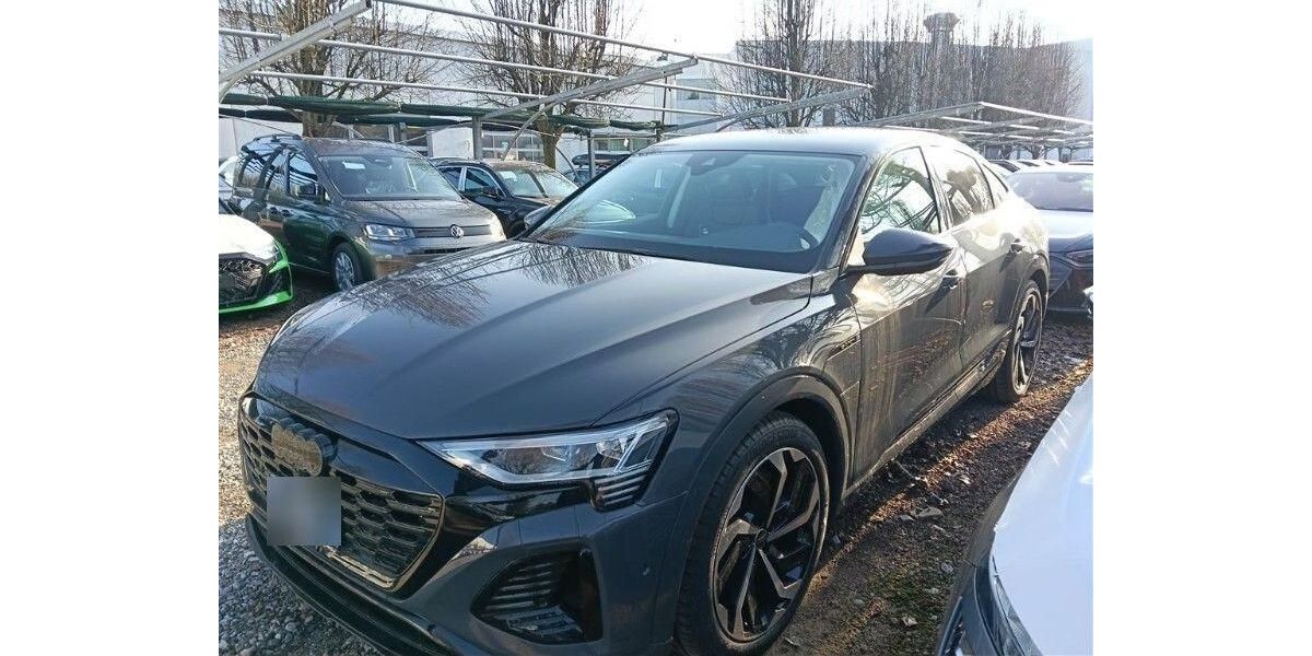 Audi Q8 e-tron 6.289 km 55.125 &euro; Hagen 58091