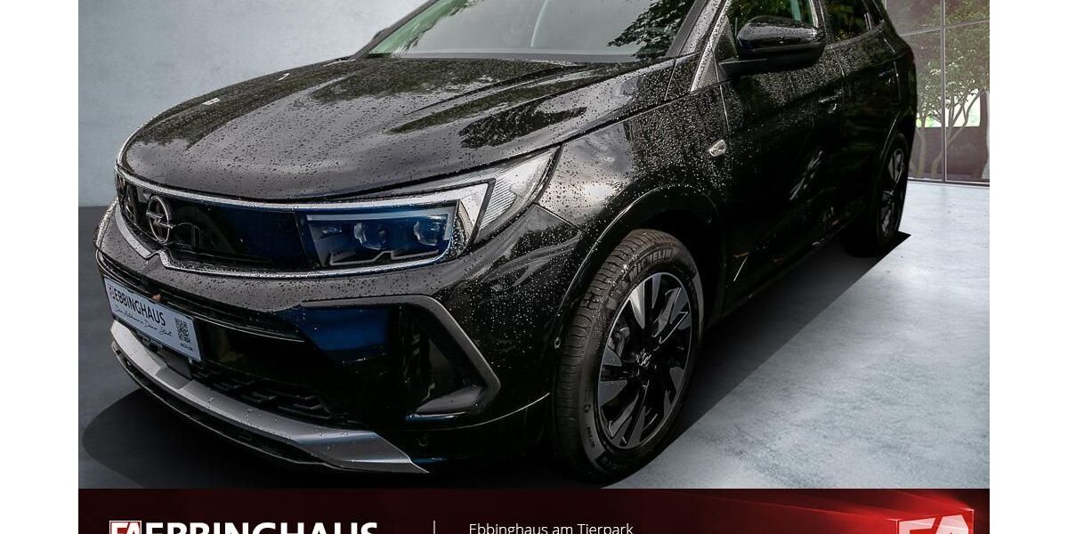 Opel Grandland (X) 45.419 km 19.499 &euro; Dortmund 44225