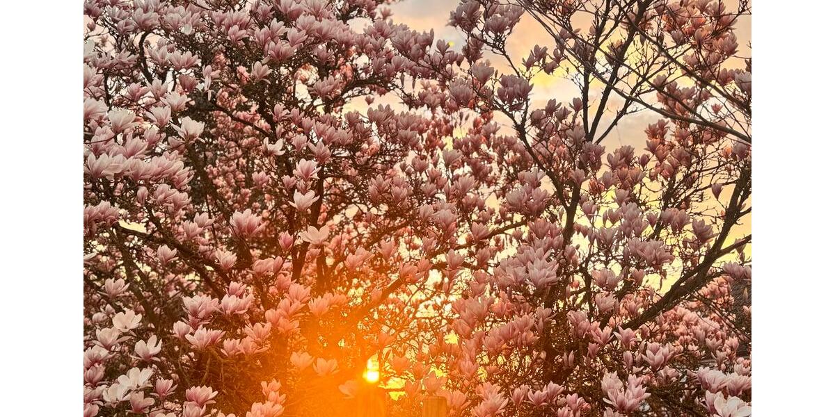 Doppelhaushälfte Schwerte - 10 Zimmer, 200 m&sup2;, 450.000&euro; | Angebot:25880818