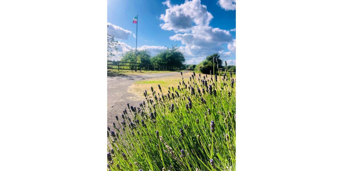 Bauernhaus, Landhaus Iserlohn Sümmern - 1.555.555&euro; | Angebot:24479549