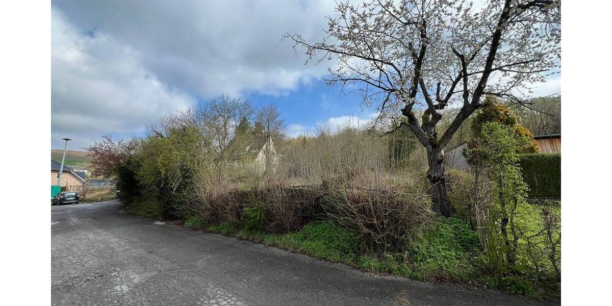 Grundstück Balve Langenholthausen - 75.000&euro; | Angebot:26557061