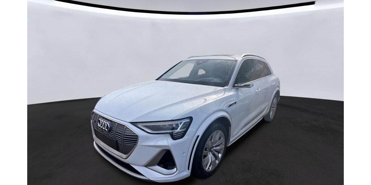 Audi e-tron 81.847 km 37.949 &euro; Hagen 58091