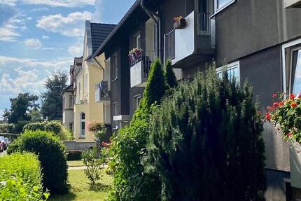 Wohnung Dortmund Brackel - 3.5 Zimmer, 65 m&sup2;, 770&euro; | Angebot:25839776