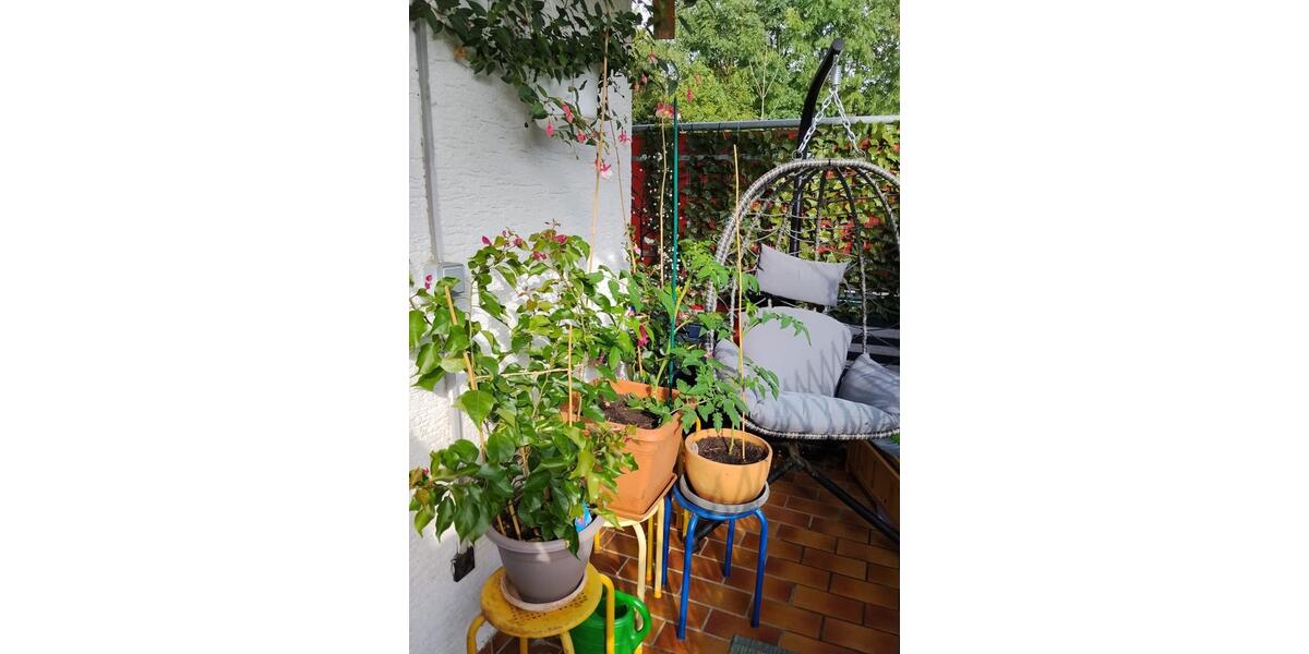 Hochparterre Hemer - 2 Zimmer, 65 m&sup2;, 499&euro; | Angebot:27584773