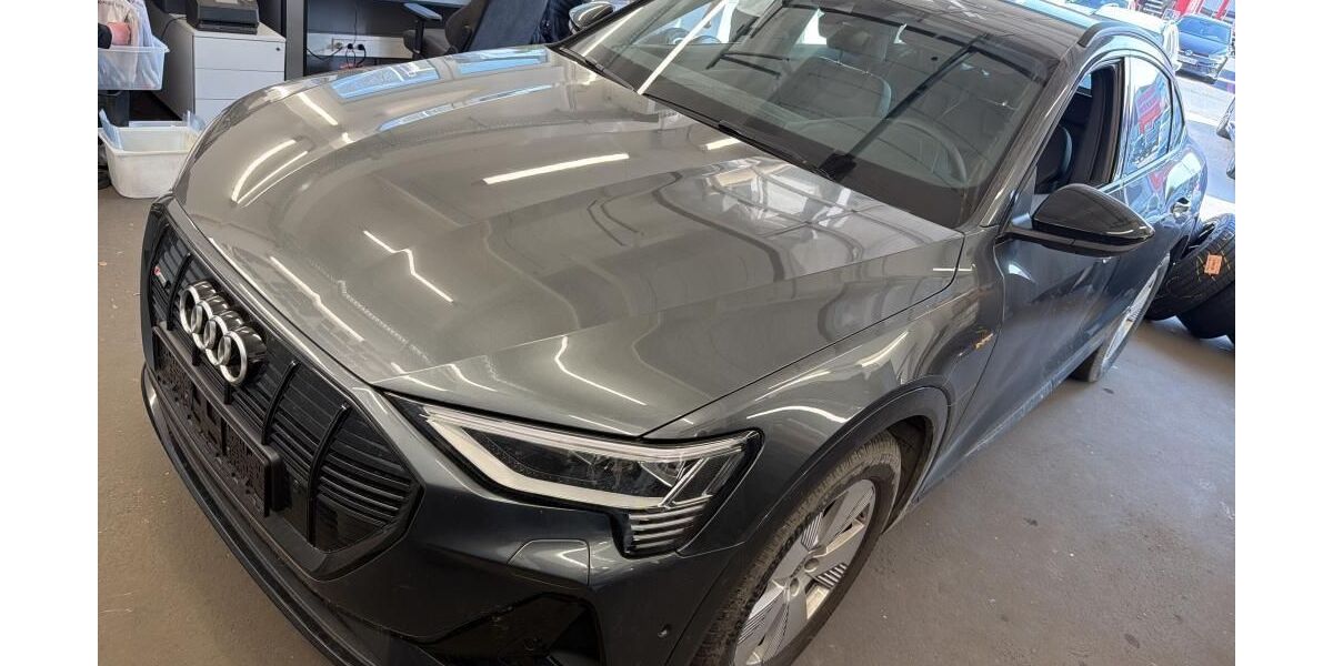 Audi e-tron 49.042 km 30.849 &euro; Hagen 58091