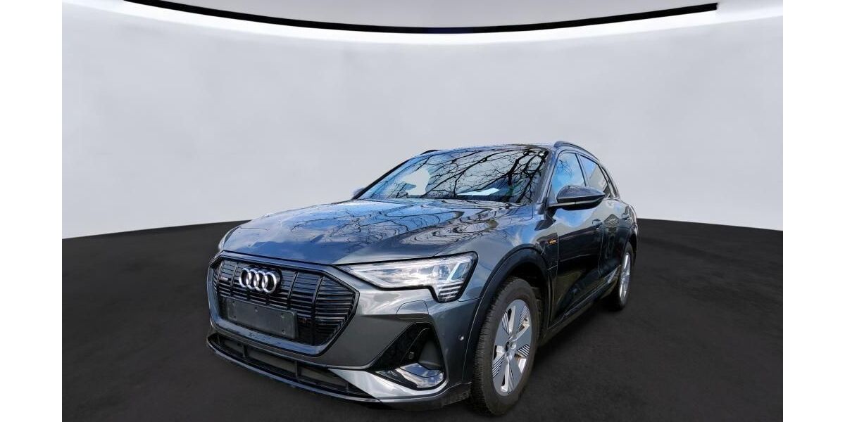 Audi e-tron 95.843 km 34.739 &euro; Hagen 58091