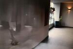 Loft - Studio - Atelier Wuppertal Barmen - 2 Zimmer, 105 m&sup2;, 269.000&euro; | Angebot:26579229