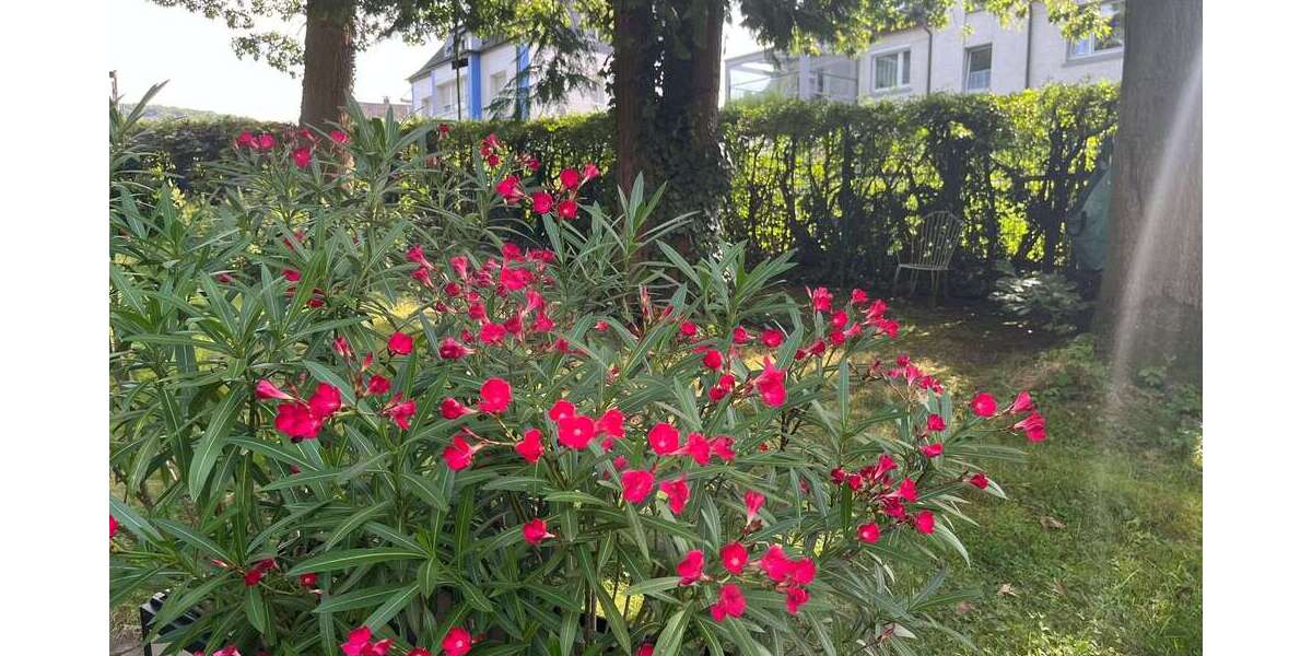 Grundstück Hagen Dahl - 133.000&euro; | Angebot:22282825