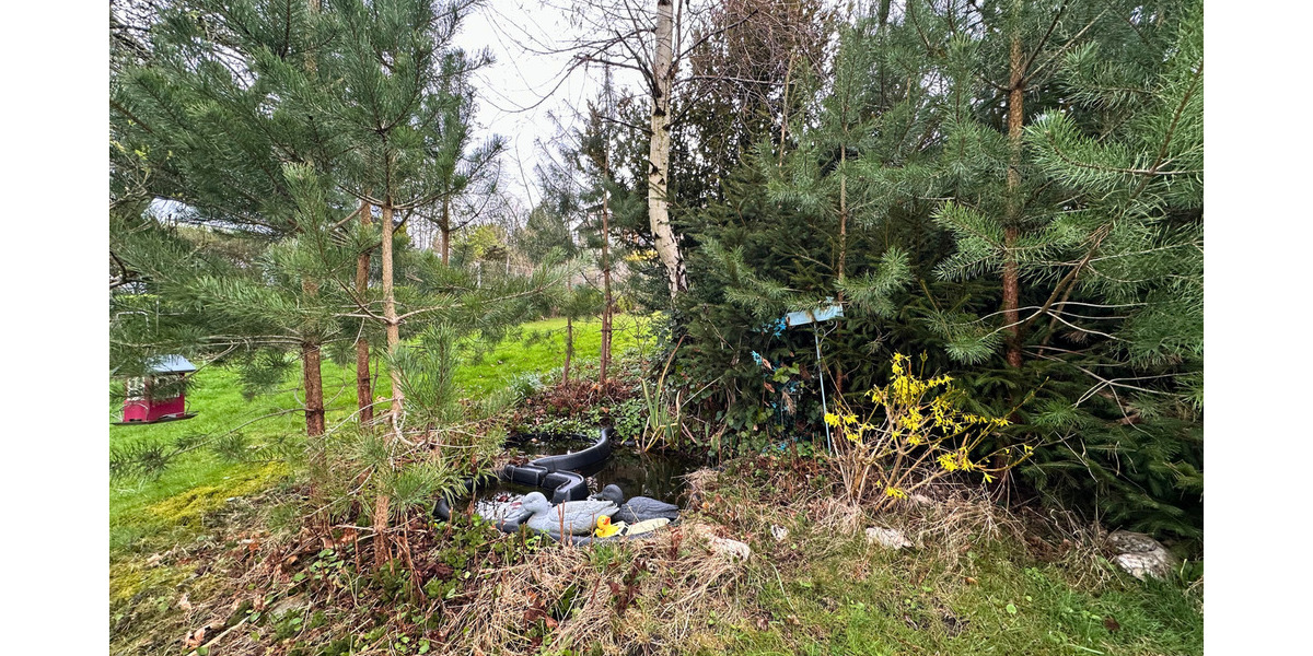 Mehrfamilienhaus, Wohnhaus Altena Evingsen - 4 Zimmer, 120 m&sup2;, 169.000&euro; | Angebot:26029293