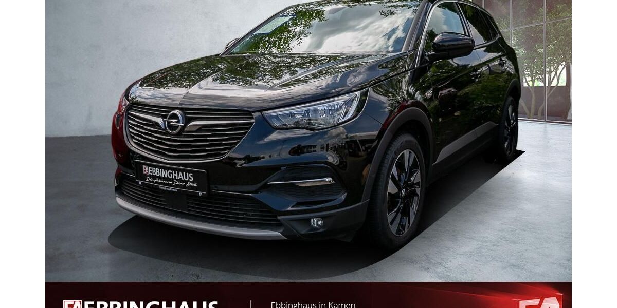 Opel Grandland (X) 108.645 km 13.999 &euro; Kamen 59174