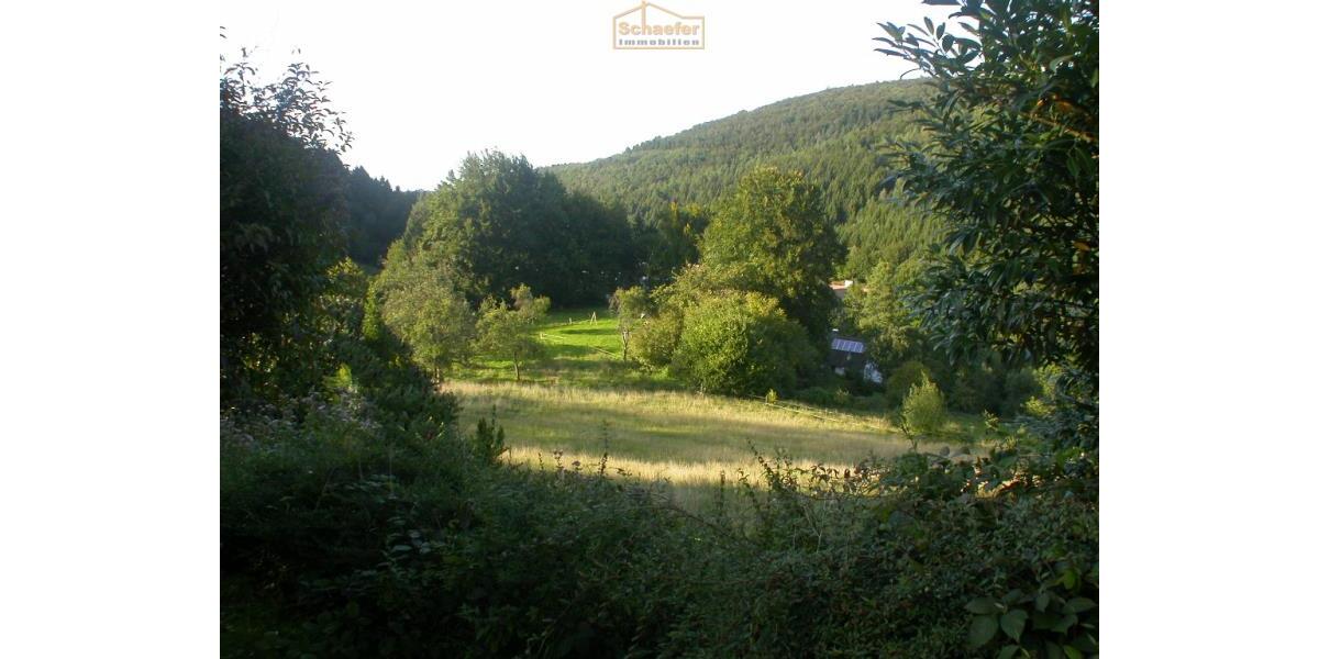 Historisches Anwesen mit Wald, Weiden und einzigartiger Aussichtslage - Mehrfamilienhaus, Wohnhaus Iserlohn Grüne | Angebot:26974787