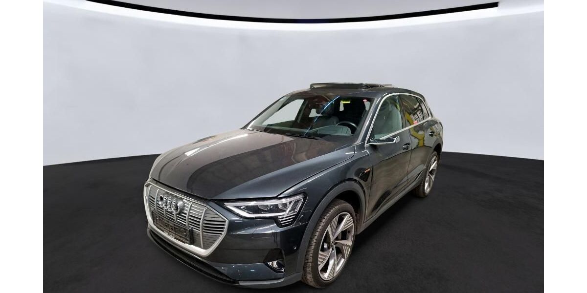 Audi e-tron 50.336 km 34.948 &euro; Hagen 58091