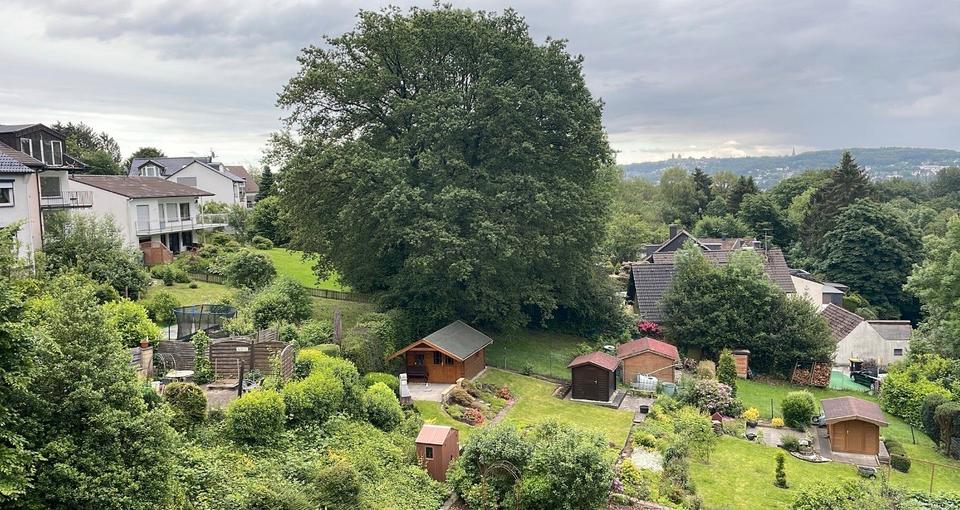Etagenwohnung Wuppertal Cronenberg - 3 Zimmer, 80 m&sup2;, 259.000&euro; | Angebot:26598483