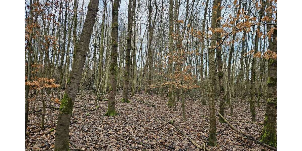 Grundstück Hagen Hagen-Mitte - 97.944&euro; | Angebot:14647236