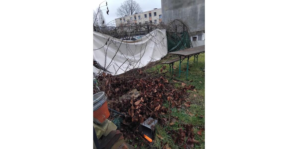 Dachgeschoßwohnung Bochum Bochum-Mitte - 4 Zimmer, 57 m&sup2;, 650&euro; | Angebot:25999453