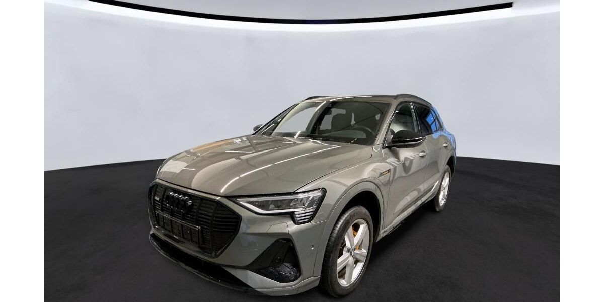 Audi e-tron 73.569 km 36.935 &euro; Hagen 58091