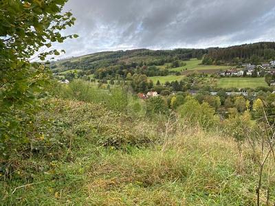 WOHNEN MIT TRAUMHAFTEN AUSBLICK - Grundstück Balve | Angebot:26543627