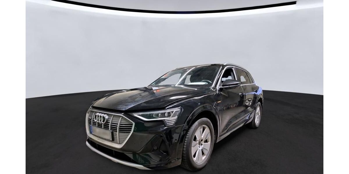 Audi e-tron 67.232 km 32.946 &euro; Hagen 58091