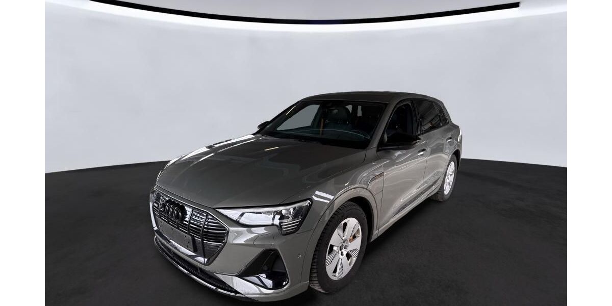 Audi e-tron 34.002 km 35.786 &euro; Hagen 58091