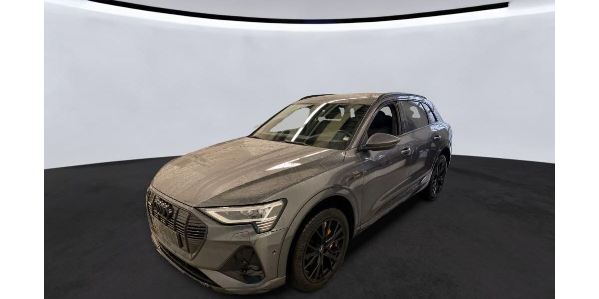 Audi e-tron 42.645 km 35.842 &euro; Hagen 58091