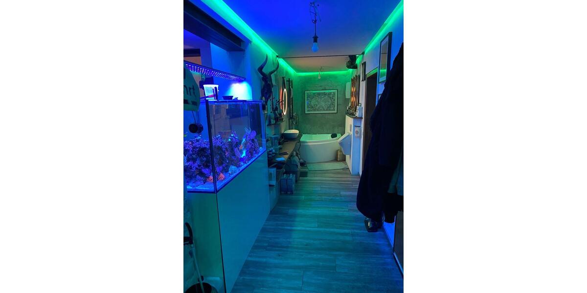 Dachgeschoßwohnung Dortmund Huckarde - 2 Zimmer, 84 m&sup2;, 1.110&euro; | Angebot:26545985