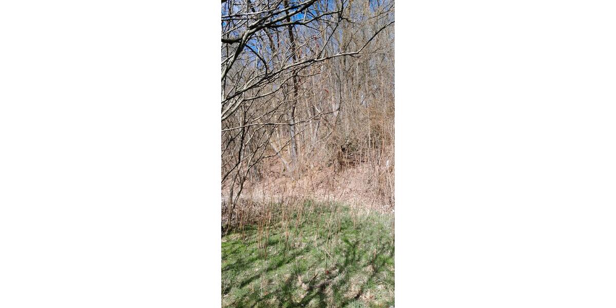 Erdgeschoßwohnung Kierspe - 1.5 Zimmer, 36 m&sup2;, 550&euro; | Angebot:25987343