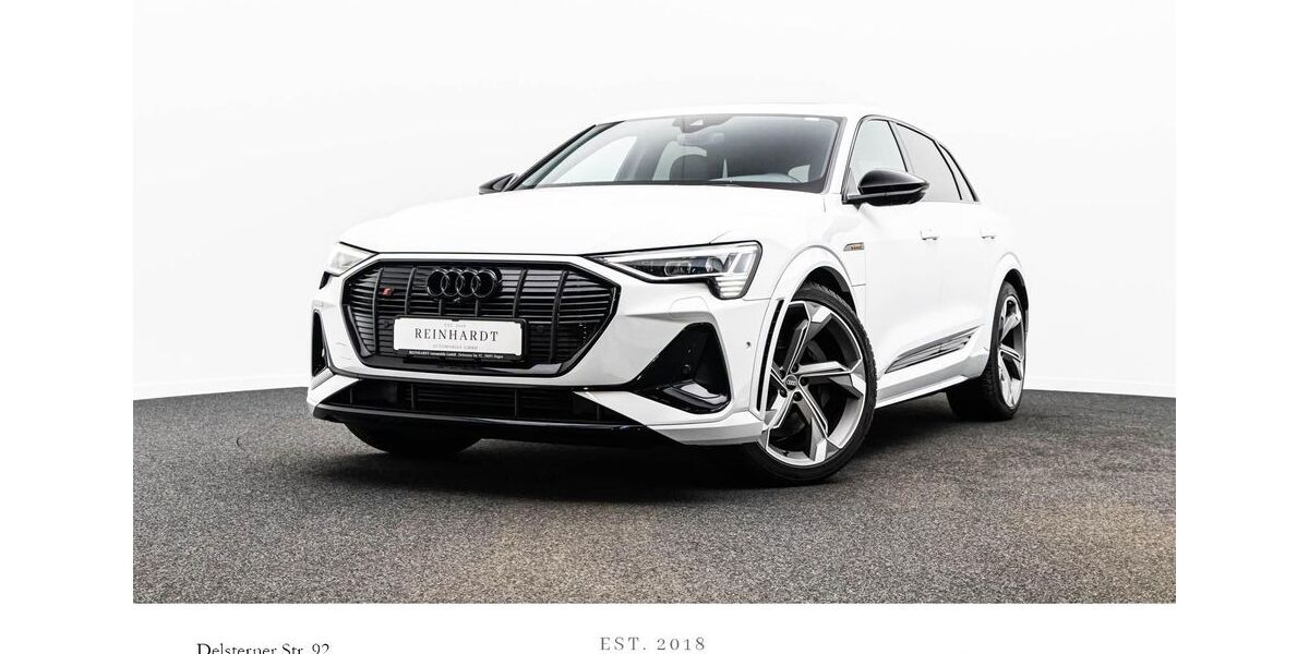 Audi e-tron 41.125 km 44.480 &euro; Hagen 58091
