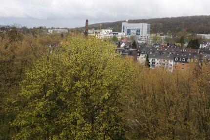 Wohnung Wuppertal Barmen - 2 Zimmer, 52 m&sup2;, 125.000&euro; | Angebot:26040252