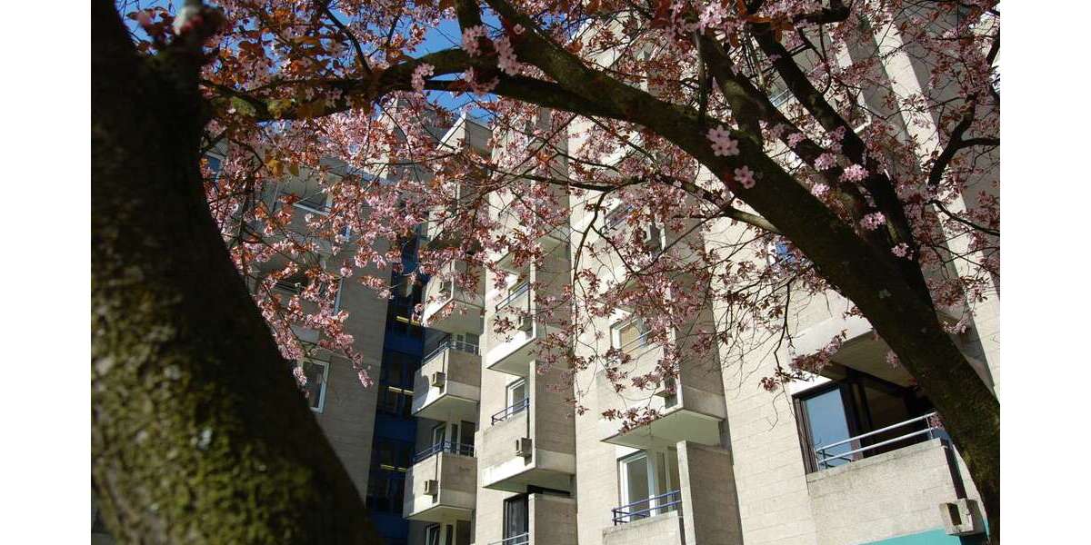 Etagenwohnung Schwelm Brunnen - 2 Zimmer, 58 m&sup2;, 545&euro; | Angebot:22934541