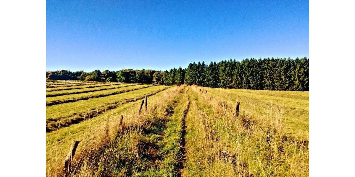 Grundstück Lüdenscheid Othlinghausen - 1.355.000&euro; | Angebot:25678584