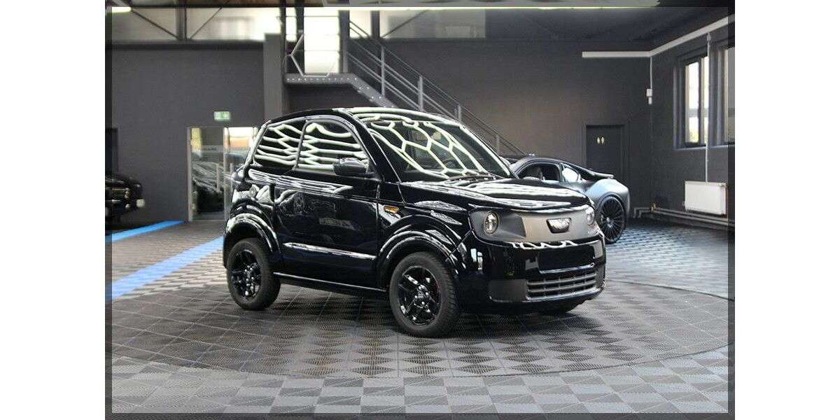 Ligier Myli 6.500 km 12.499 &euro; Hemer 58675