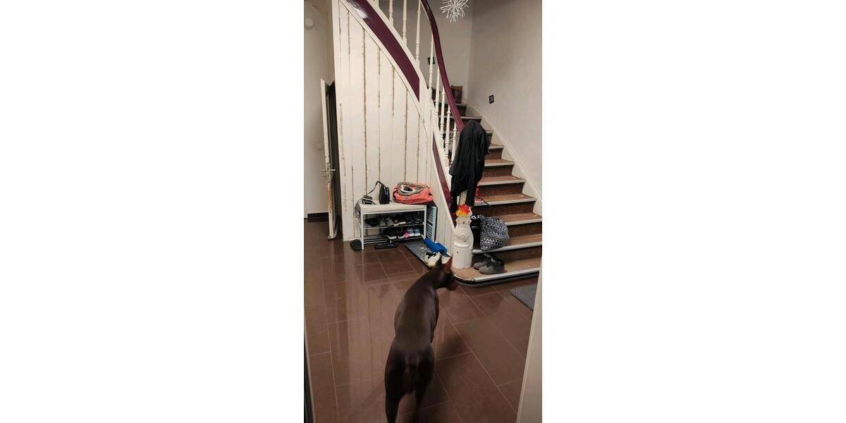 Einfamilienhaus Remscheid - 8 Zimmer, 250 m&sup2;, 360.000&euro; | Angebot:25660274