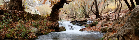 AquaMagis Plettenberg Sauerland NRW Erlebnisbad Wellness Hagen Route