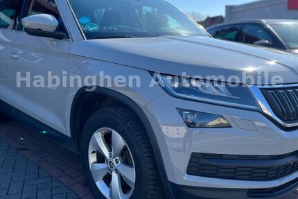 Skoda Kodiaq 225.000 km 17.800 &euro; Castrop Rauxel 44579