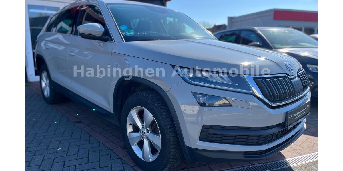 Skoda Kodiaq 225.000 km 17.800 &euro; Castrop Rauxel 44579