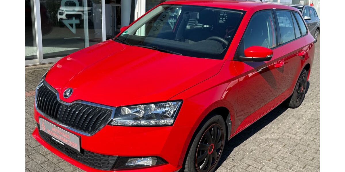 Skoda Fabia 136.936 km 8.000 &euro; Radevormwald 42477