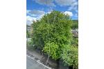 Etagenwohnung Wuppertal Arrenberg - 3 Zimmer, 66 m&sup2;, 610&euro; | Angebot:26665022