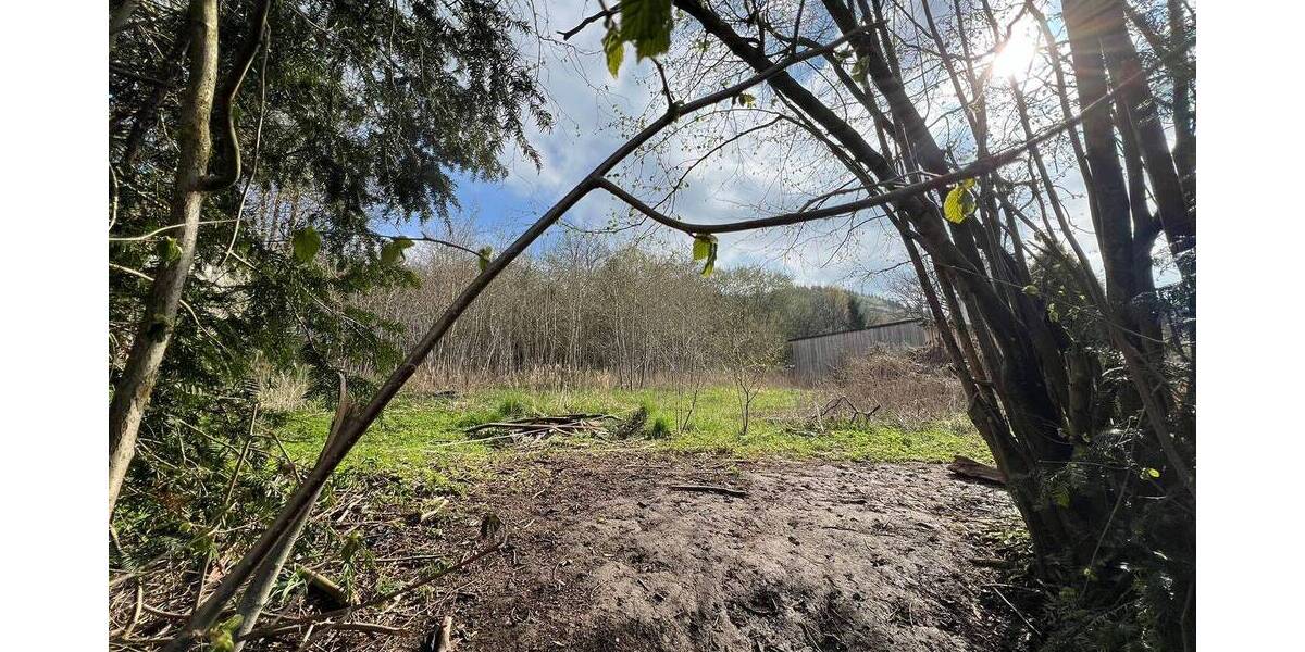 Grundstück Balve Langenholthausen - 75.000&euro; | Angebot:26557061