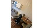 Etagenwohnung Iserlohn Gerlingsen - 1 Zimmer, 50 m&sup2;, 400&euro; | Angebot:26212331