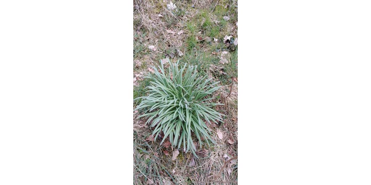 Erdgeschoßwohnung Kierspe - 1.5 Zimmer, 36 m&sup2;, 550&euro; | Angebot:25987343