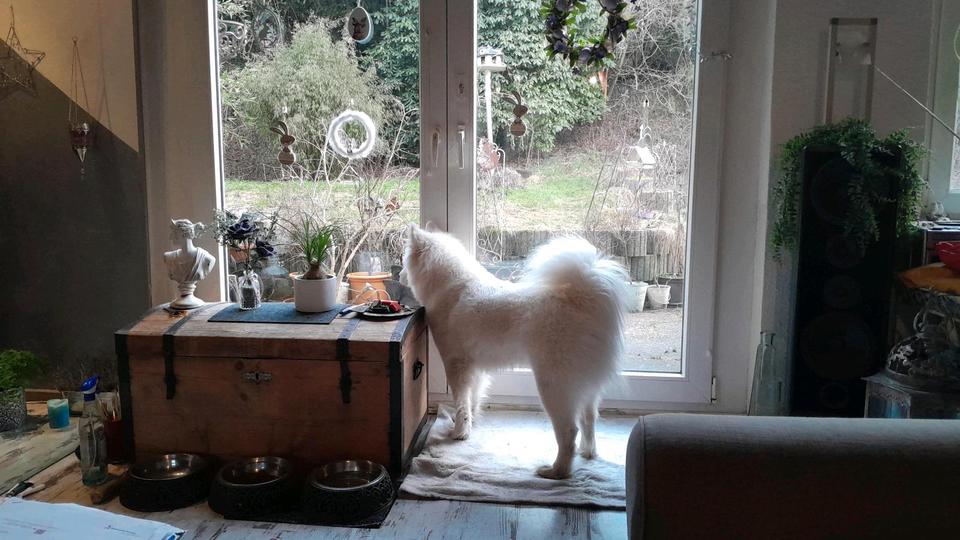 Erdgeschoßwohnung Kierspe - 1.5 Zimmer, 36 m&sup2;, 550&euro; | Angebot:25987343