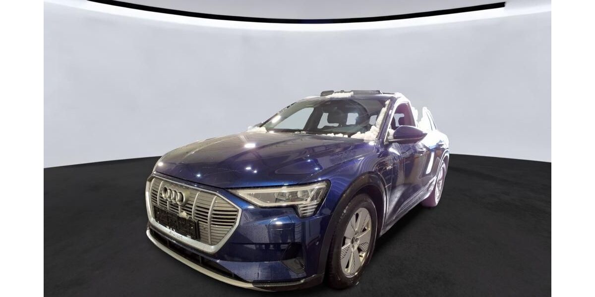 Audi e-tron 32.673 km 36.886 &euro; Hagen 58091