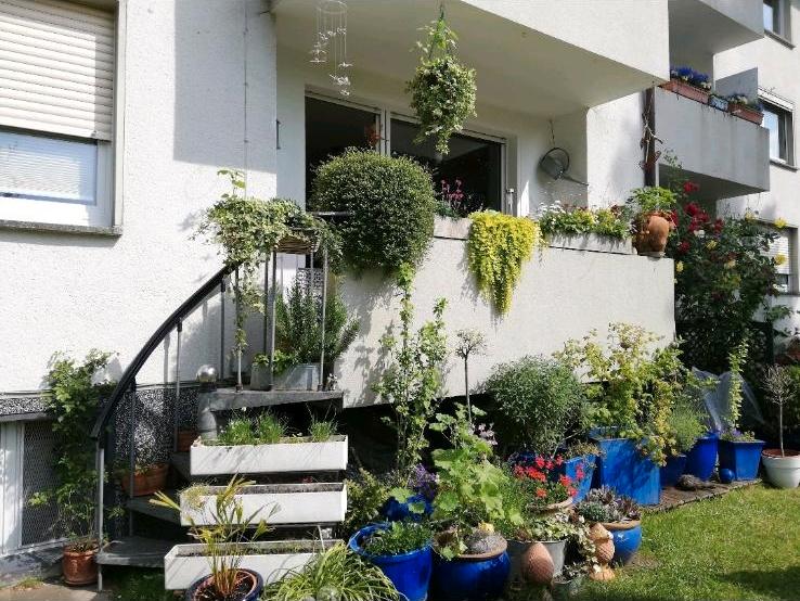 Erdgeschoßwohnung Bochum Höntrop - 2 Zimmer, 56 m&sup2;, 575&euro; | Angebot:27606556