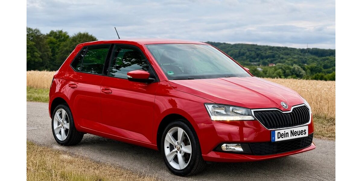 Skoda Fabia 86.700 km 7.490 &euro; Schwerte 58239