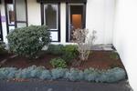 Erdgeschoßwohnung Wuppertal Gemarkung Langerfeld - 1 Zimmer, 32 m&sup2;, 320&euro; | Angebot:26691990
